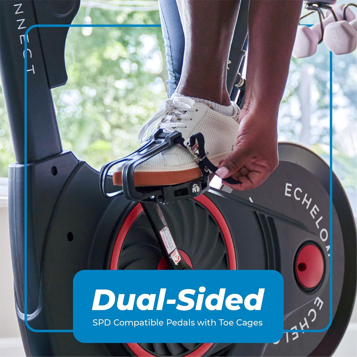 7150zDYnr2L._AC_SL1500_.jpg 7150zDYnr2L. AC SL1500 - tesoltrainingscotland.co.uk
