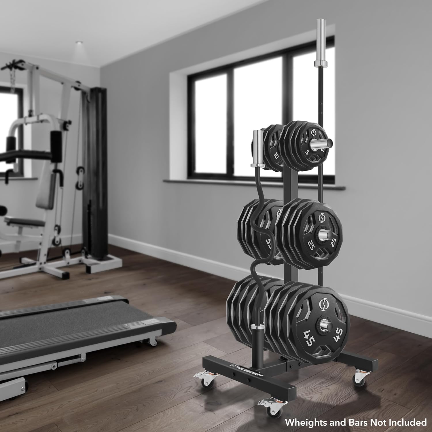 719j3T1liTL._AC_SL1500_.jpg 719j3T1liTL. AC SL1500 - tesoltrainingscotland.co.uk